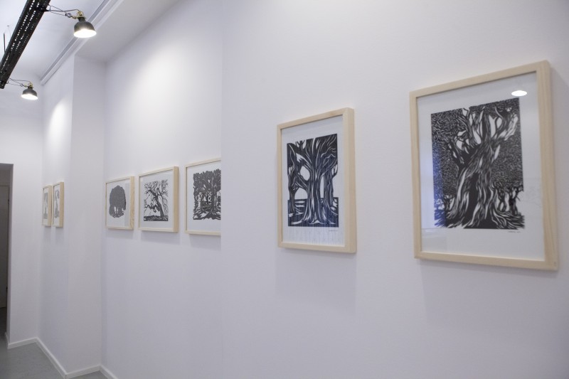 Wystawa Andrzeja Krauzego „Drzewa”