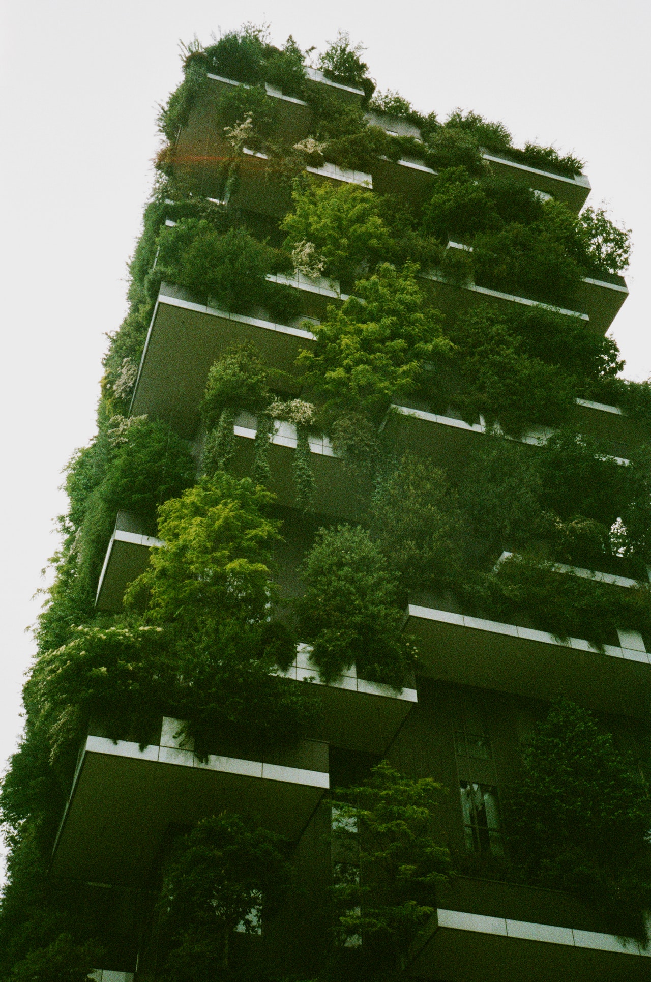 Trammer: Nowy Europejski Bauhaus ma sprawić, że ludzie będą się identyfikować z Zielonym Ładem